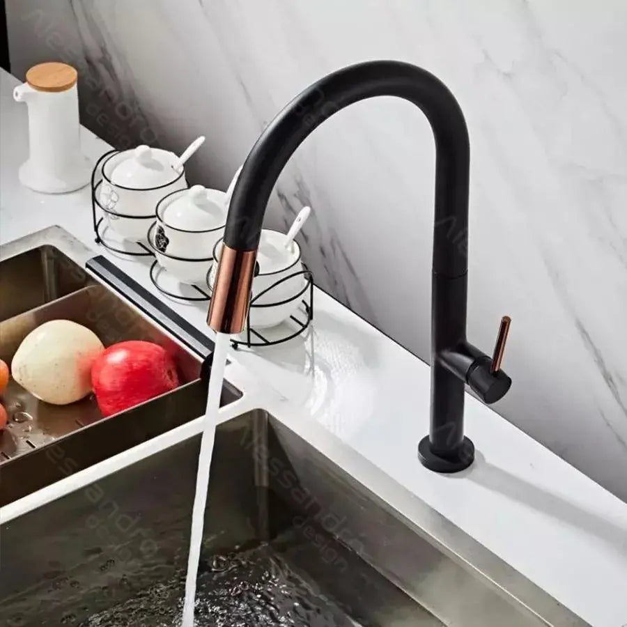 Kitchen Faucet, Sanitary Brass, Black, CF1035/B