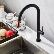 Kitchen Faucet, Sanitary Brass, Black, CF1035/B