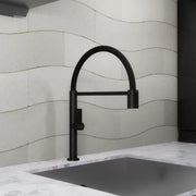 Kitchen Faucet, Sanitary Brass, Black, CF2045