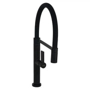 Kitchen Faucet, Sanitary Brass, Black, CF2045