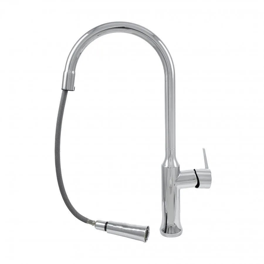 Kitchen Faucet with Pull-out Shower Sanitary Brass Silver CF/1035/C1