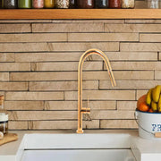Kitchen Faucet with Pull-out Shower, Sanitary Brass, Gold, CF2043