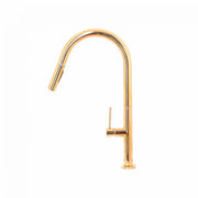 Kitchen Faucet with Pull-out Shower, Sanitary Brass, Gold, CF2043