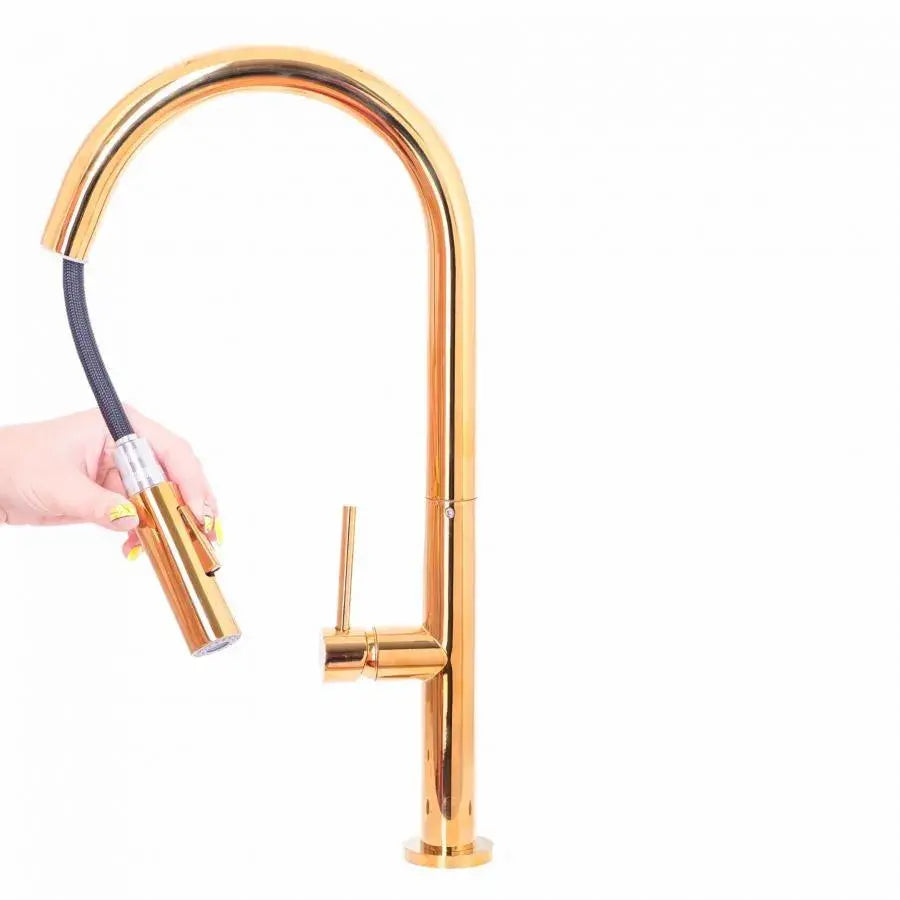 Kitchen Faucet with Pull-out Shower, Sanitary Brass, Gold, CF2043