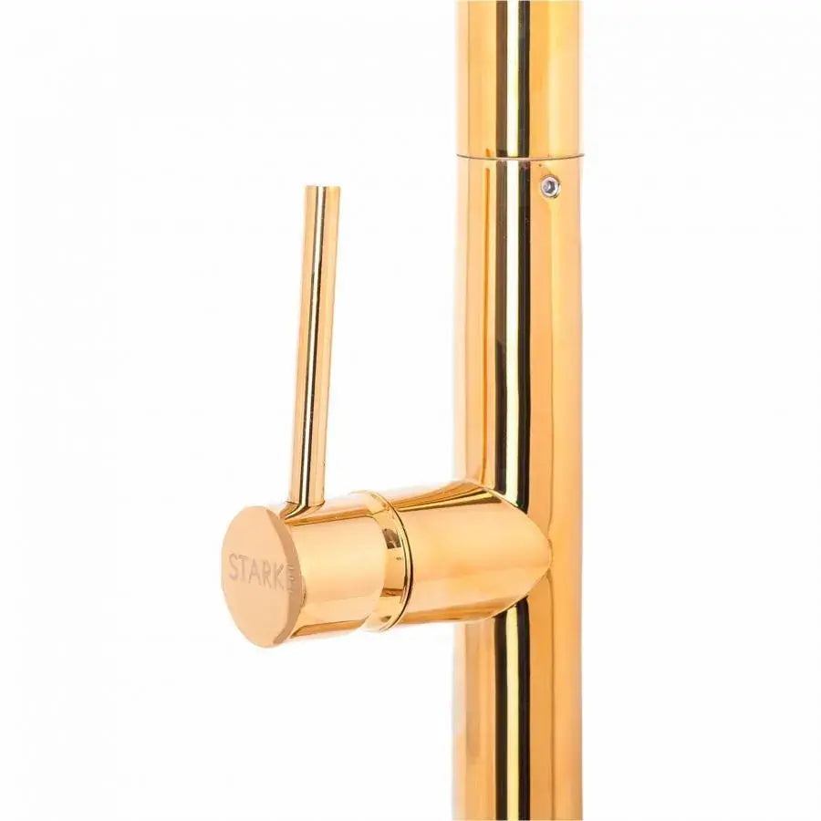Kitchen Faucet with Pull-out Shower, Sanitary Brass, Gold, CF2043