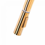 Kitchen Faucet with Pull-out Shower, Sanitary Brass, Gold, CF2043