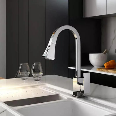 Kitchen Faucet with Pull-out Shower, Sanitary Brass, Chrome, OD/2012