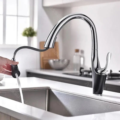 Kitchen Faucet with Pull-out Spray, Sanitary Brass, Chrome, W058