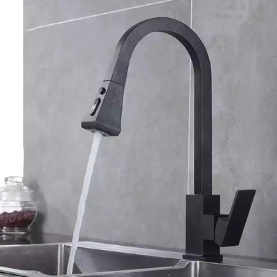 Kitchen Faucet with Pull-out Shower, Sanitary Brass, Black, OD/2040