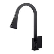 Kitchen Faucet with Pull-out Shower, Sanitary Brass, Black, OD/2040