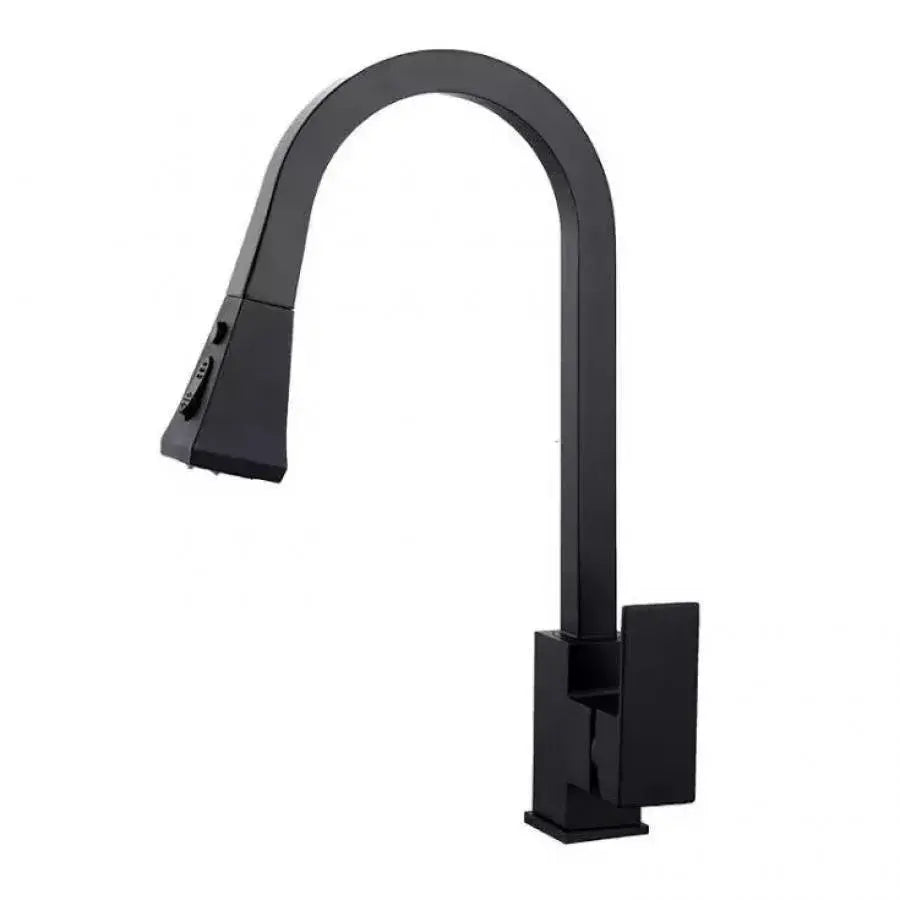Kitchen Faucet with Pull-out Shower, Sanitary Brass, Black, OD/2040