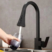 Kitchen Faucet with Pull-out Shower, Sanitary Brass, Black, OD/2040