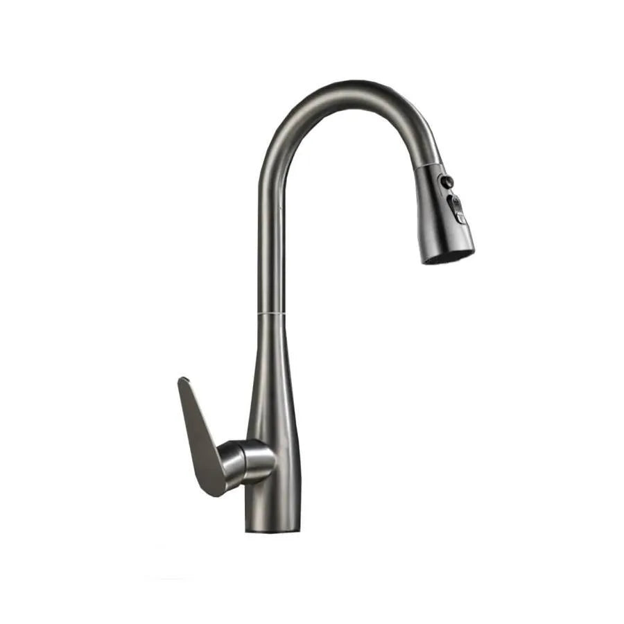 Kitchen Faucet with Pull-out Shower Stainless Steel Silver ZY1009