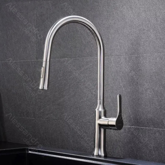 Kitchen Faucet with Extractable Shower, SUS304 Stainless Steel, Satin, CF023 Kitchen Faucets Default Title Alessandro Design