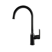 Basin Faucet, Sanitary Brass, Black, LJS/225B