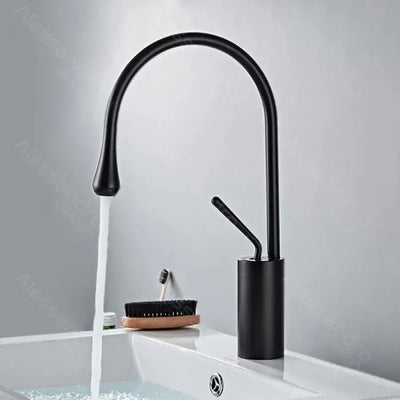 Basin Faucet, Sanitary Brass, Black, WZY/327/B
