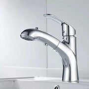 Basin Mixer with Pull-out Shower, Sanitary Brass, Chrome, OD/2030