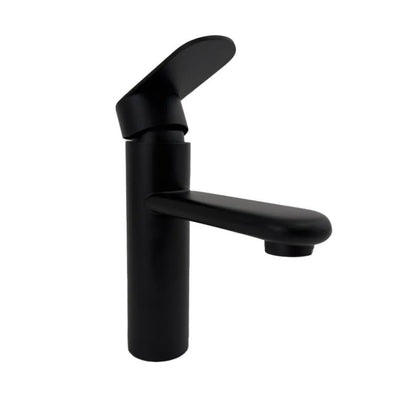 Black Stainless Steel Sink Faucet ZY1001