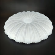 LED ceiling light Casey 30W White 