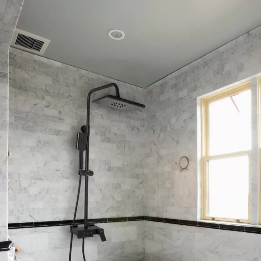 Shower Column with Adjustable Shower Head and Shower Head, Sanitary Brass, Black, 9920H