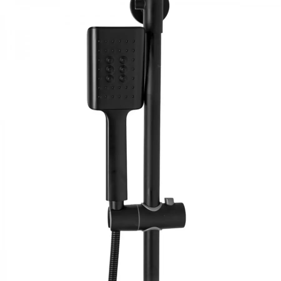 Shower Column with Adjustable Shower Head and Shower Head, Sanitary Brass, Black, 9920H
