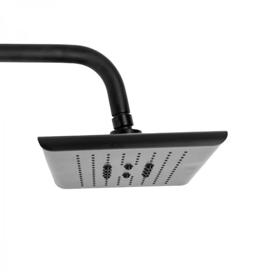 Shower Column with Adjustable Shower Head and Shower Head, Sanitary Brass, Black, 9920H