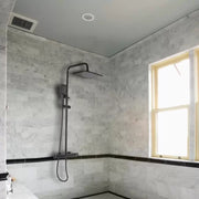 Shower Column, Sanitary Brass, Black, HC8816H