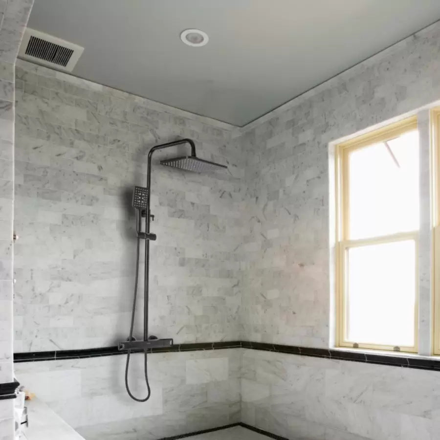 Shower Column, Sanitary Brass, Black, HC8816H