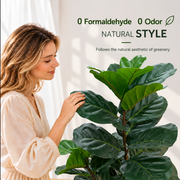 Artificial Ficus Tree Plant, 2 Branches, 67 cm, Green, with Pot