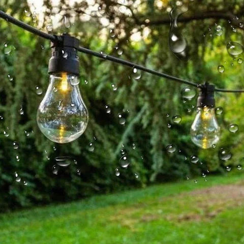 LED strip 12W/m 24V 10m IP20 6000K