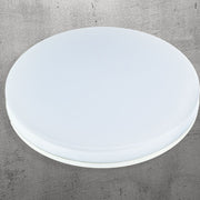 Round LED Ceiling Light, 24W, 17cm, 6000K, White Metal - Cold Light