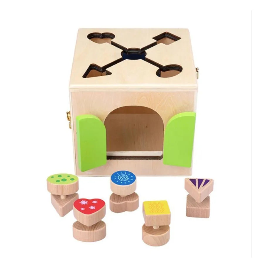 Multifunctional Montessori Educational Toy Magic Lock Cube, 6 Pieces, Multicolor, Wood and Metal