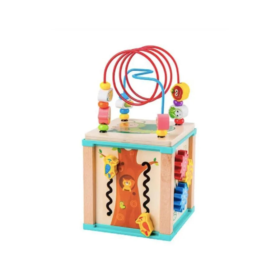 Montessori Multifunctional Toy, Cube with Surprises, 2 Pieces, Wood