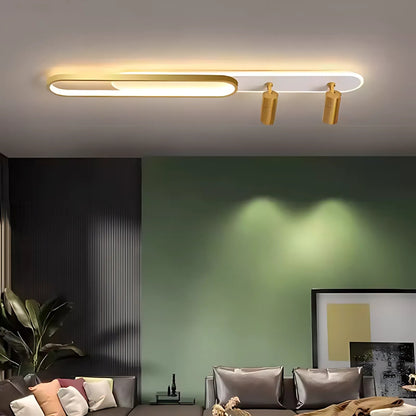 LED LED FILBERTO, 69W, cold/warm light/neutral adjustable acrylic projector and white and gold metal