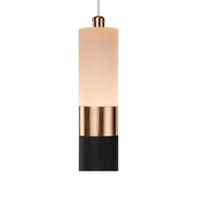Adam LED Pendant, 14W, Acrylic and Metal, Black with Gold, Cold/Warm/Neutral Light