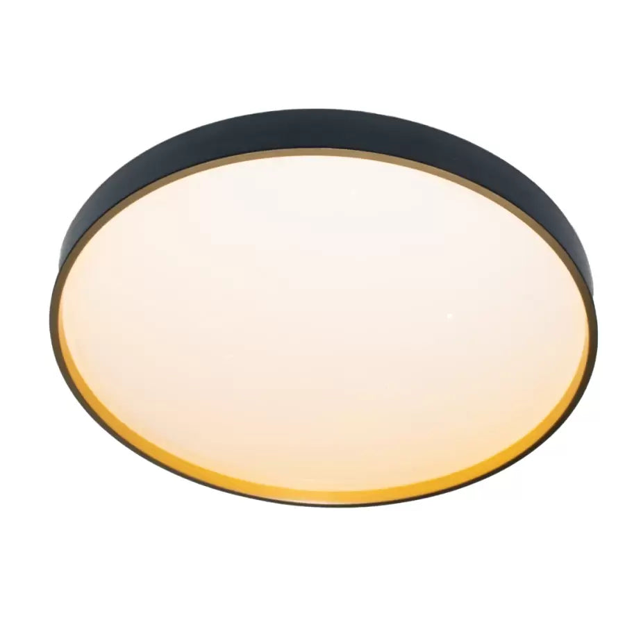 LED Ceiling Light Asya 24W, Plastic, White and Black 