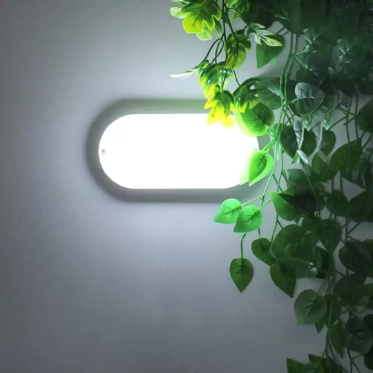 LED ceiling light FANTAS Oval 15W 20cm White Exterior IP65 Default Title Alessandro Design